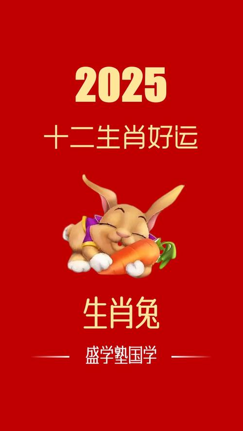 微博兔2025免费