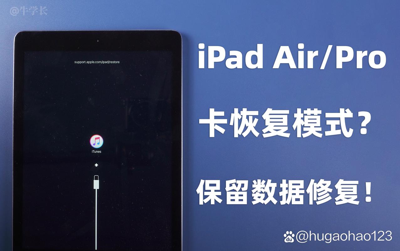 ridibooks官方版下载免费版v24.10.7安卓版截图