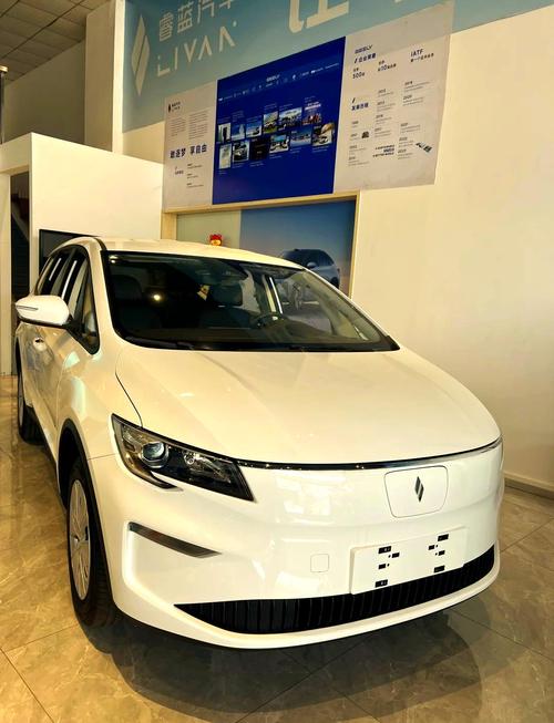 睿蓝汽车最新版