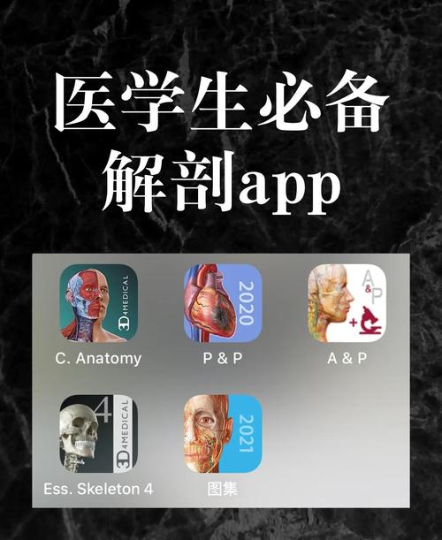 云解剖app