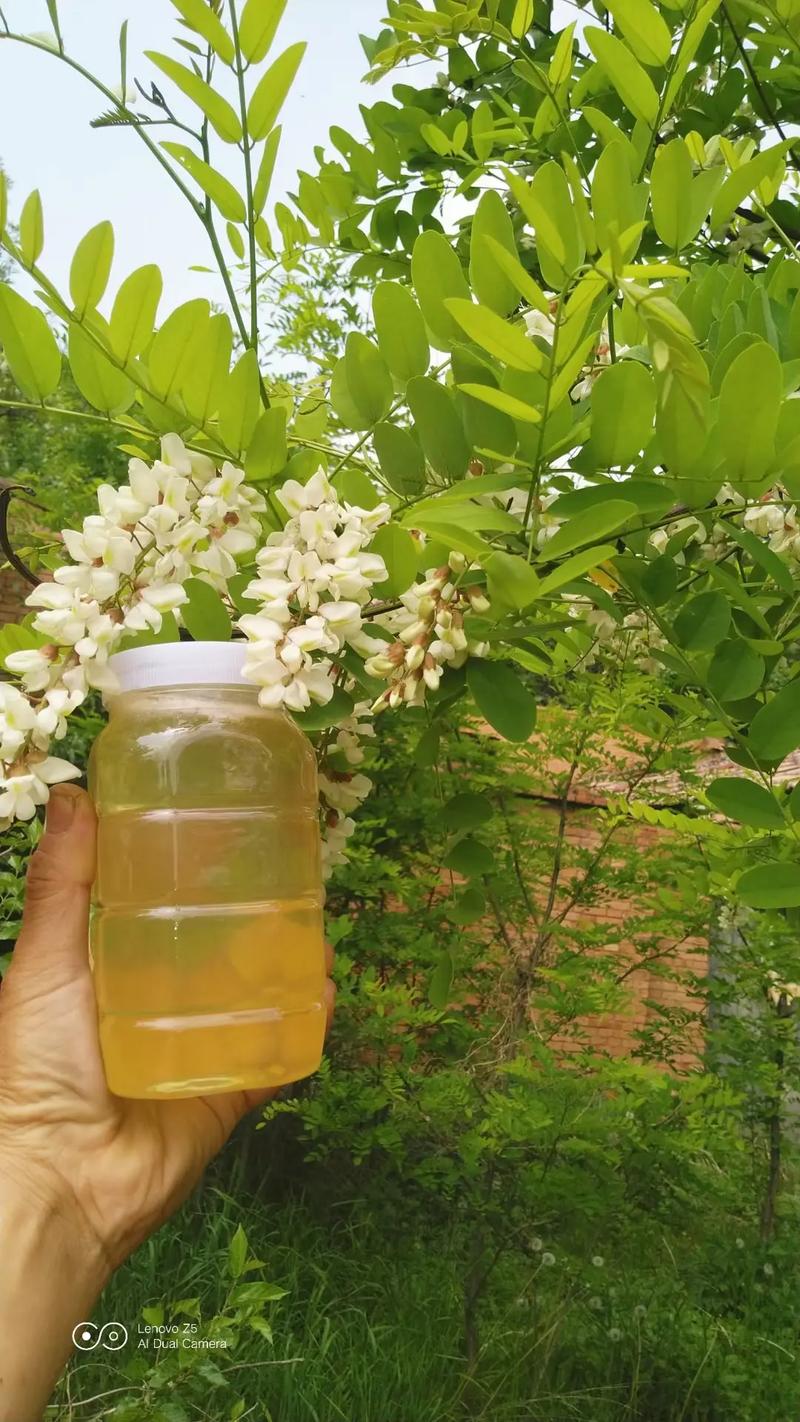 花蜜直播手机版