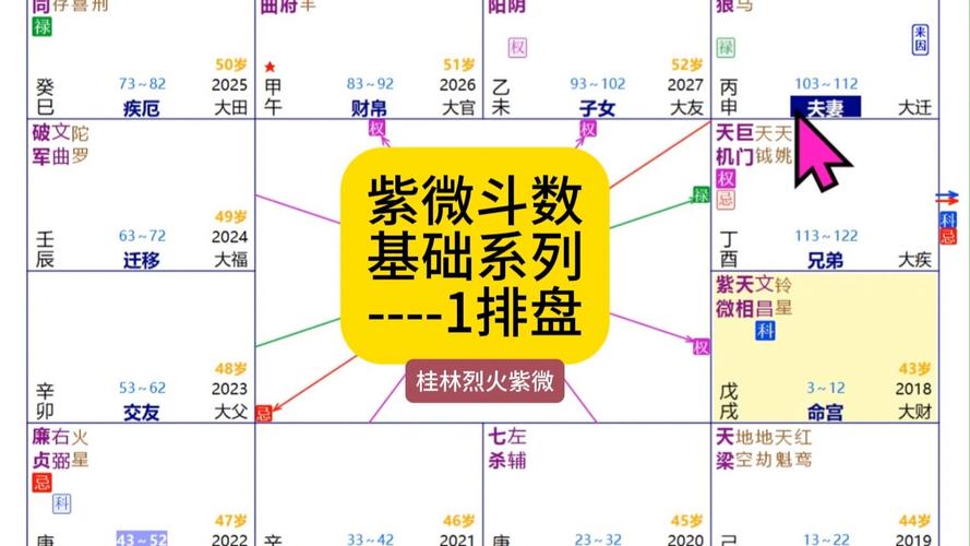 紫微大师排盘最新版