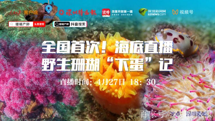 珊瑚直播app国际版