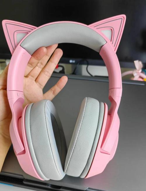 猫耳夜听最新版截图