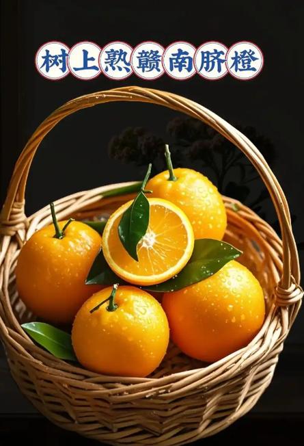 橙视频app(更名江西视频手机报)