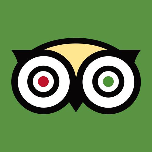 TripAdvisor猫途鹰app正版 v37.4.38安卓版[网盘资源]