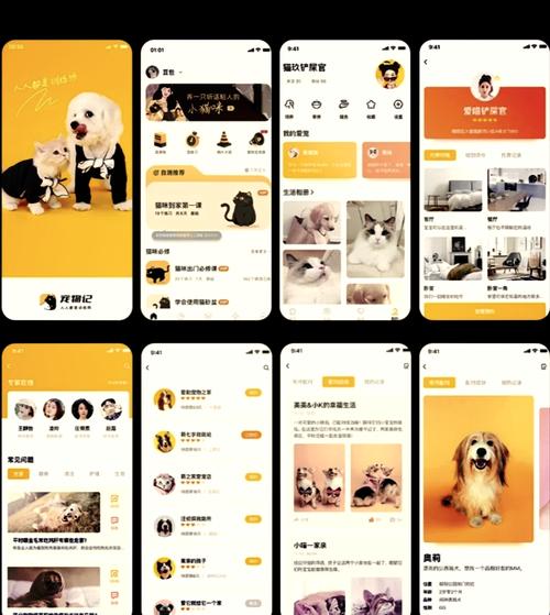 小狗宝盒软件app官方版