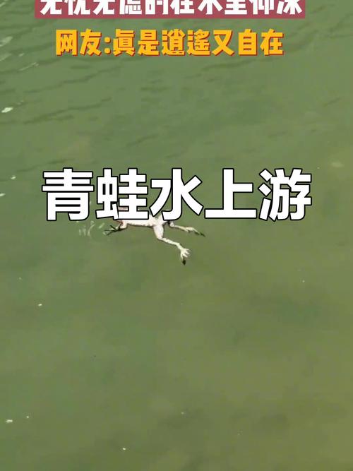 青蛙视频完整版 v9.9.9安卓版