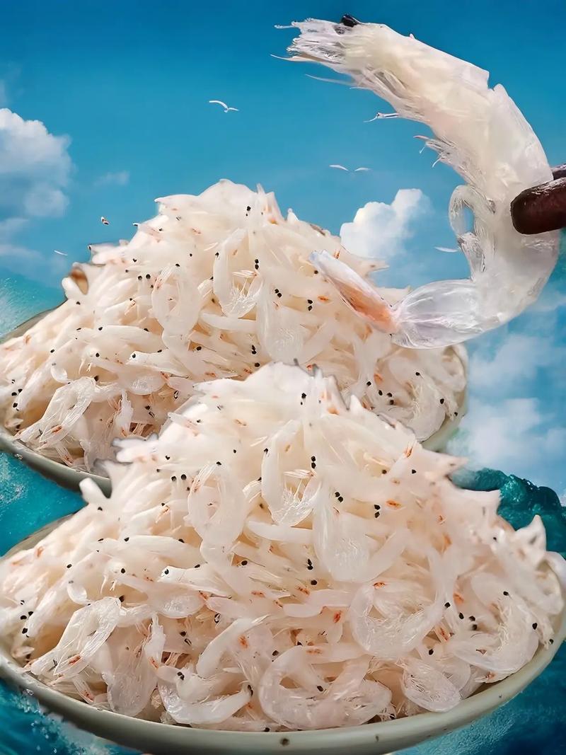 虾皮视频官方正版下载