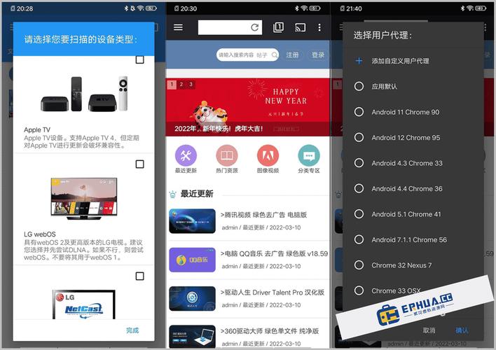 web video caster下载