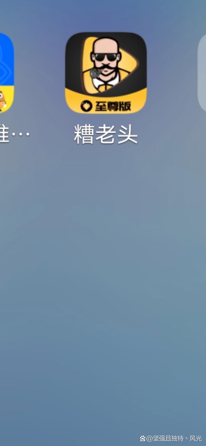 糟老头安装包下载