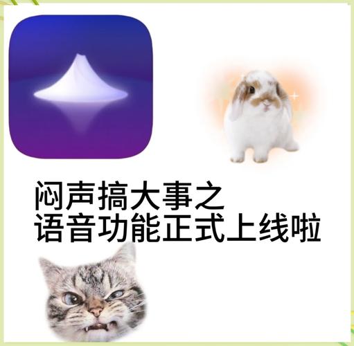 语音岛app截图