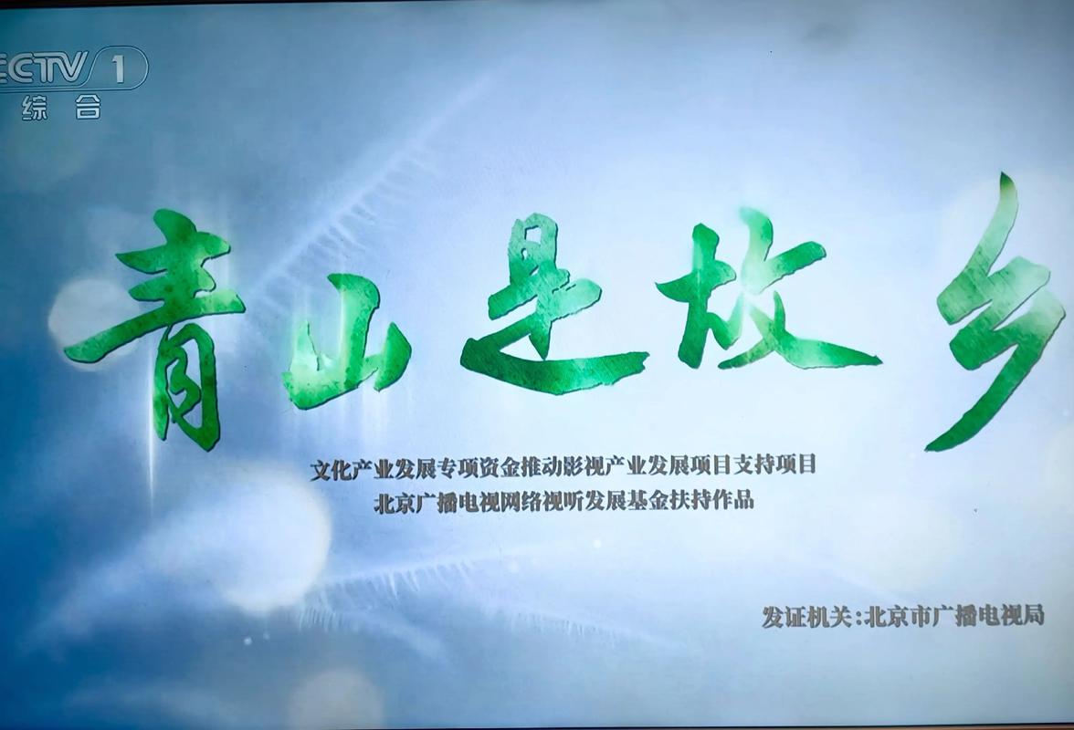 青山影视2024最新版本截图