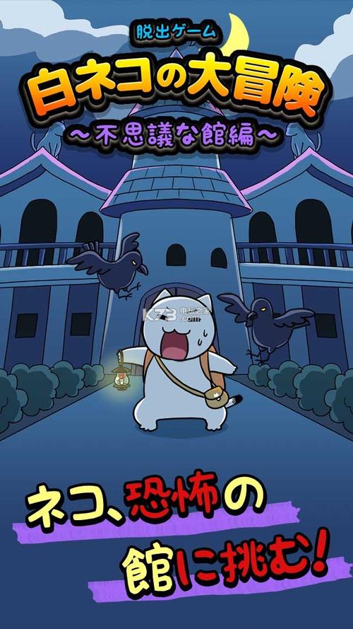 白猫的大冒险免广告版下载