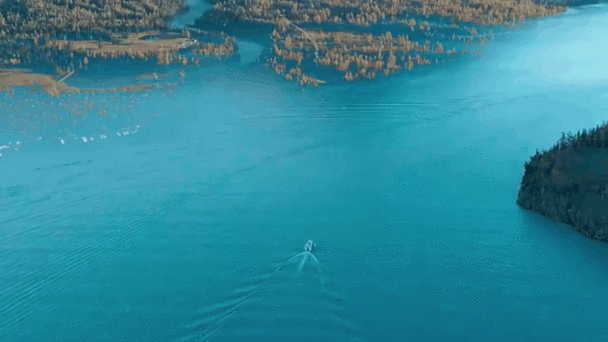 三星仙境动态壁纸下载官方版