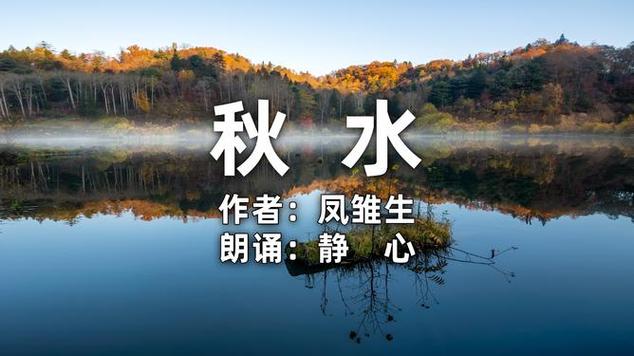 秋水视频下载安装