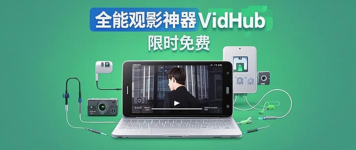 vidhub安装包截图