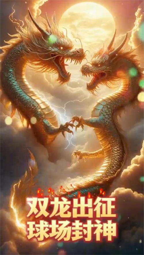 双龙影视手机版