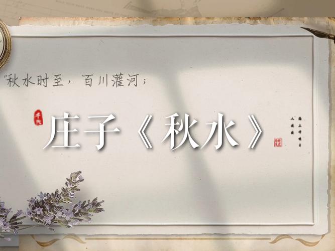 秋水视频最新版