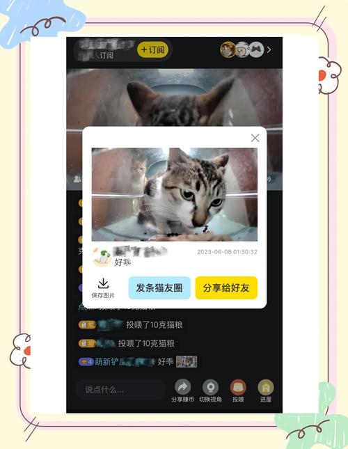 搜索猫app去广告免费版下载v1.0.9.1230截图