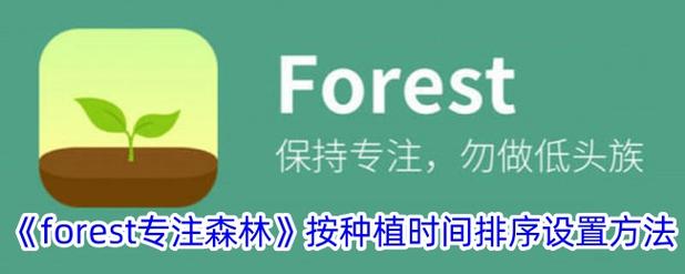 森林视频app去广告