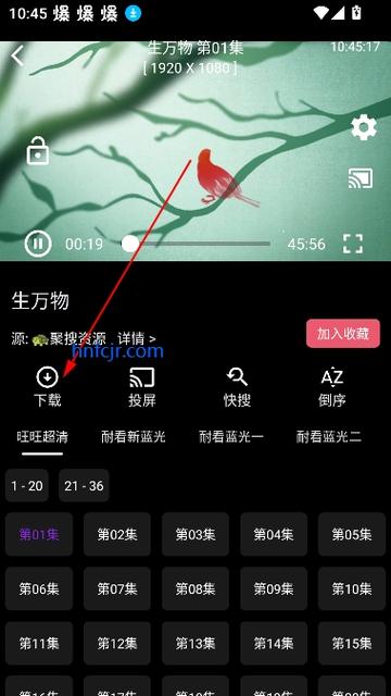 白象影视手机版免费下载v1.0.1永久免费版