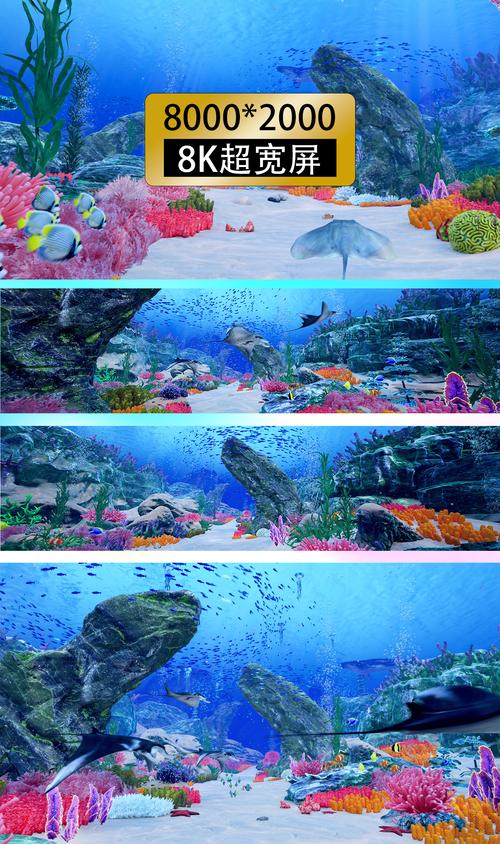 海洋视频去广告版