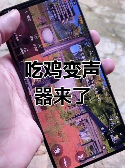 吃鸡变音器最新