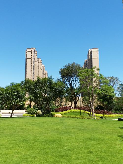 天悦公正手机版