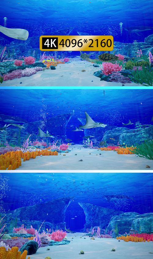 海洋视频去广告版下载