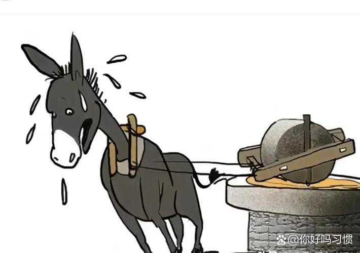 打驴动漫纯净版