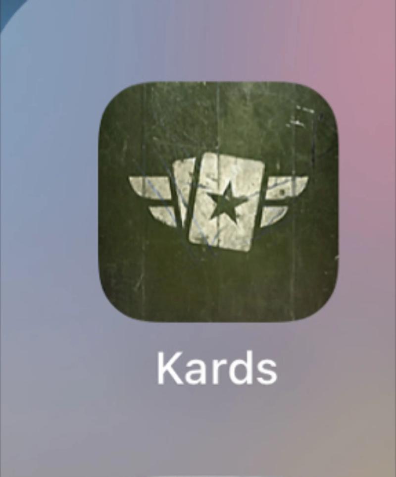 DSK大人版下载截图