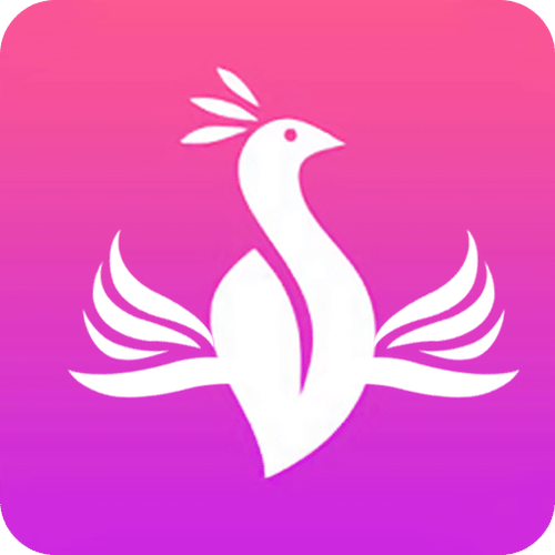 金凤app纯净版截图