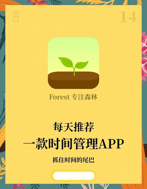 森林视频app会员版去广告下载