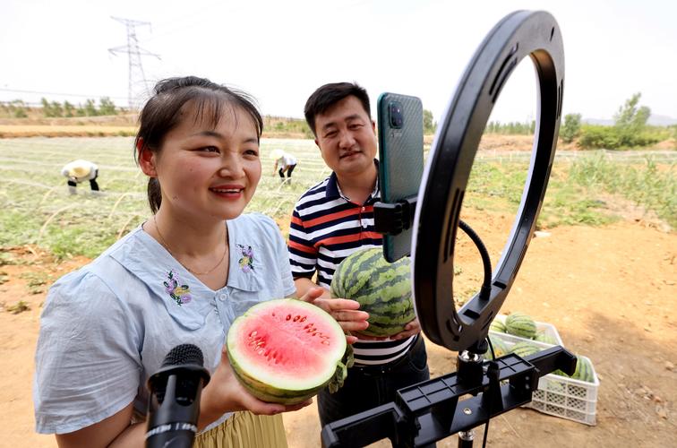 西瓜457直播绿色版截图