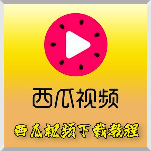 西瓜457直播绿色版下载截图