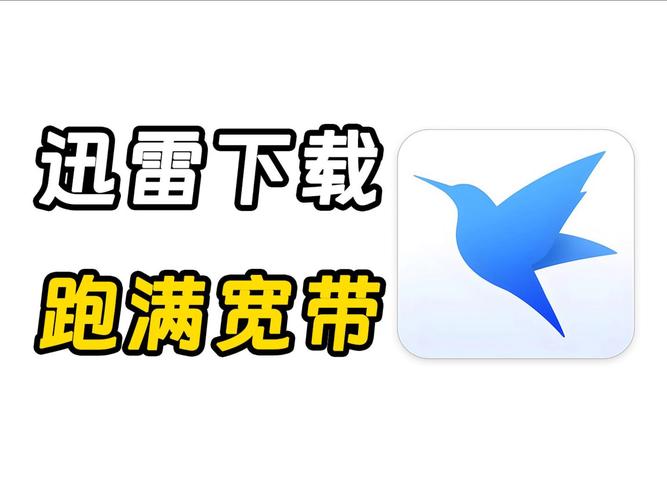 迅雷app不限速版下载安装v8.03.0.9067