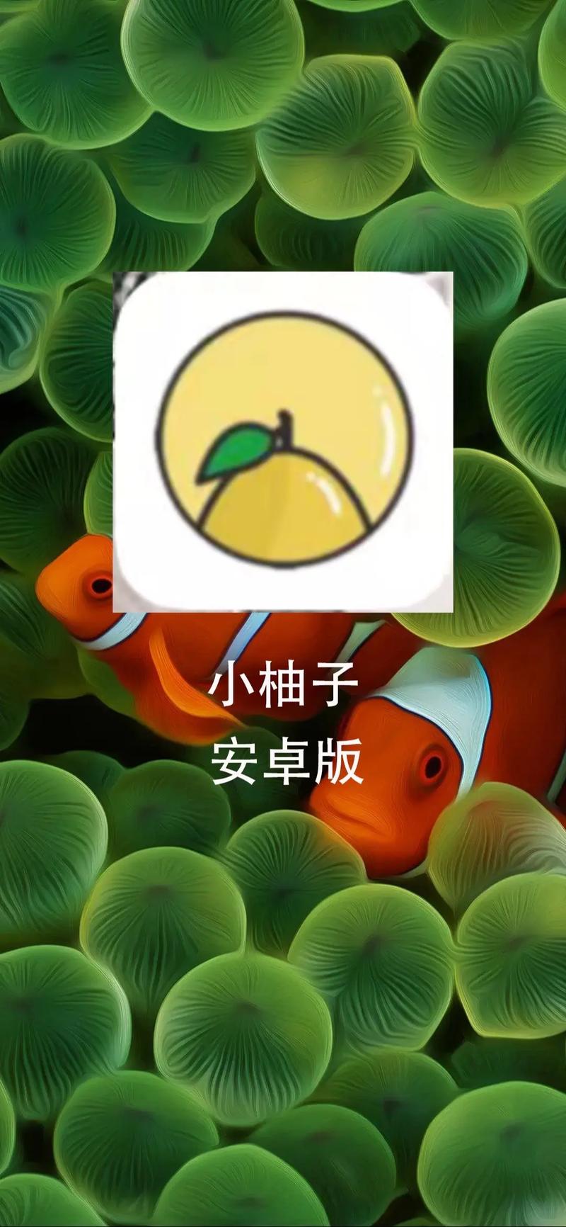 小柚子影视最新版免费下载v4.3.3