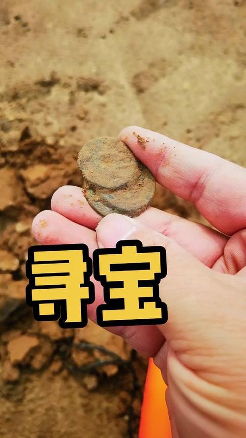 寻宝视频无限次数版截图