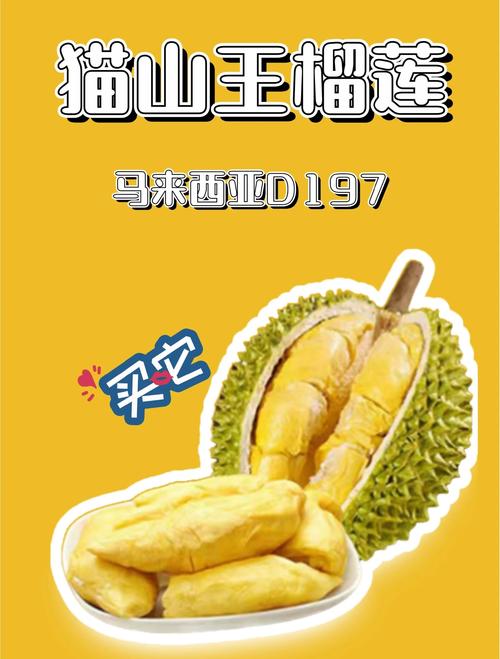 榴莲4K去广告版下载