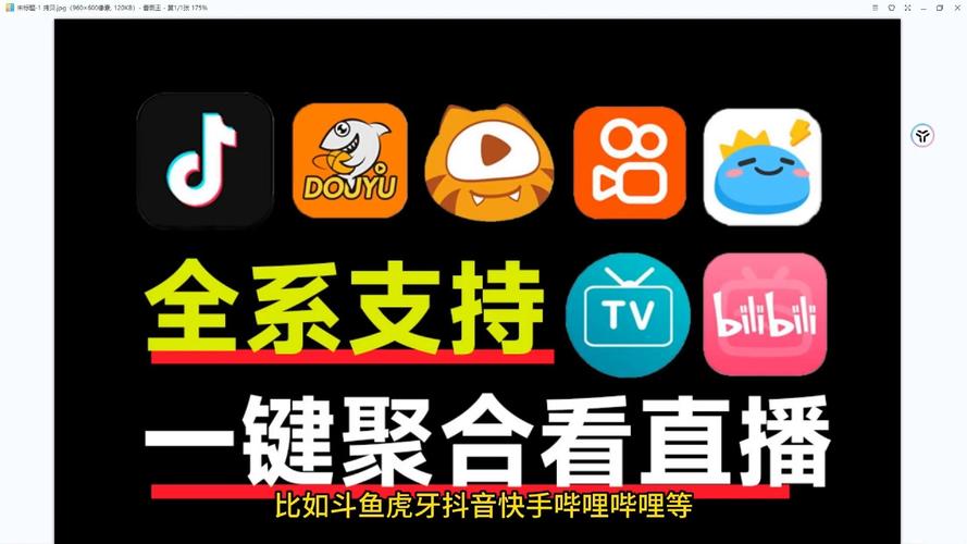 纯粹直播助手TV通用版