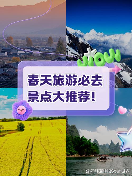 春天游客版下载