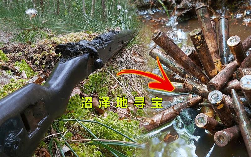 寻宝视频下载截图