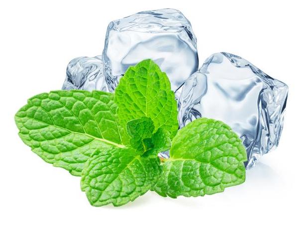 薄荷下载解锁版