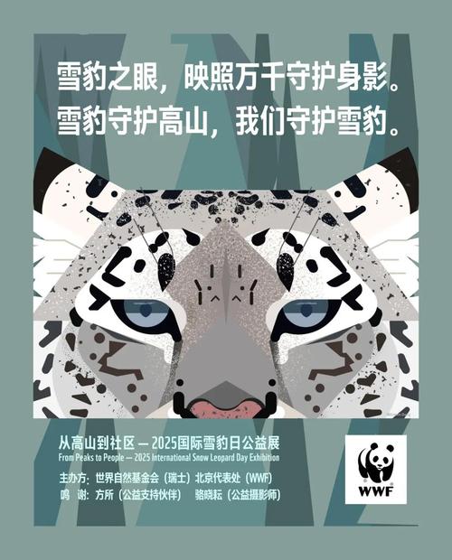 雪豹视频2025去广告