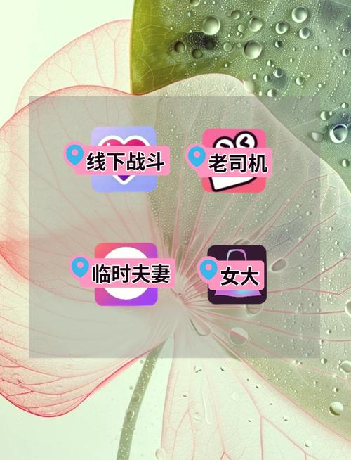 新娘圈软件无限金币