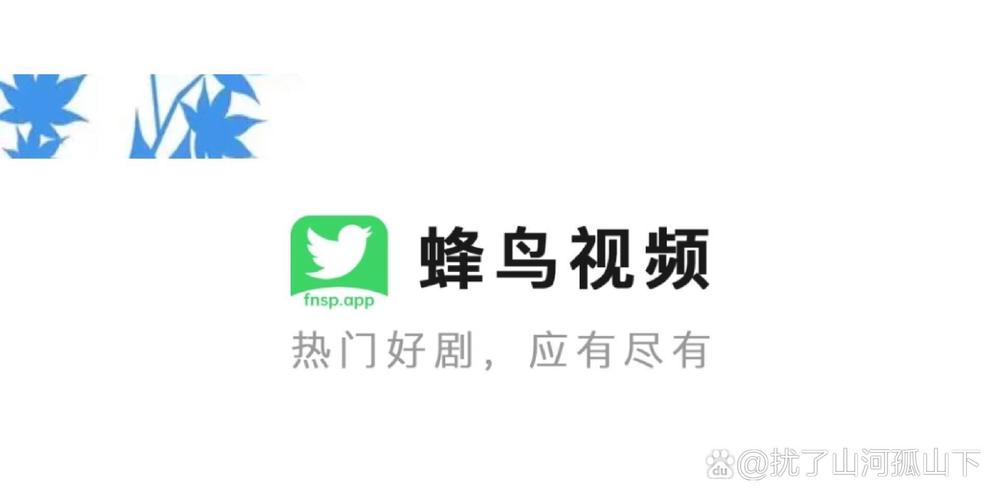 蜂鸟视频大全app下载免费版v6.3官方版