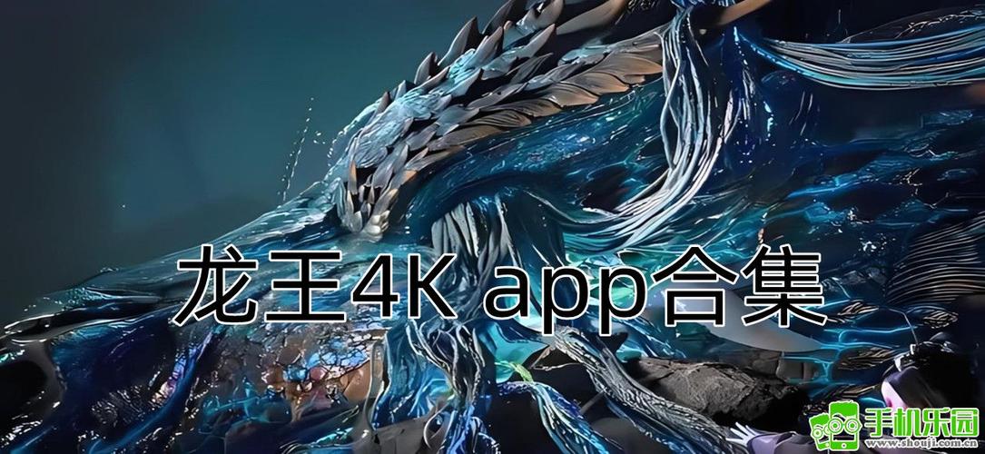 龙王4K软件免费下载v1.0