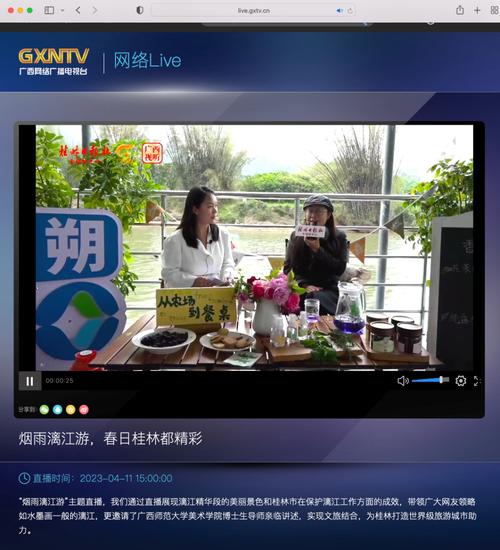 烟雨直播视频下载平台