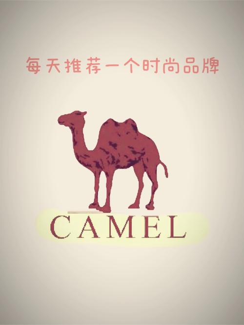 骆驼直播下载平台